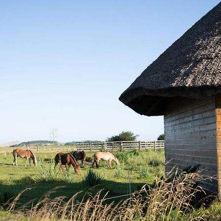 Los Chaja Ecolodge Barra de Valizas Eksteriør bilde
