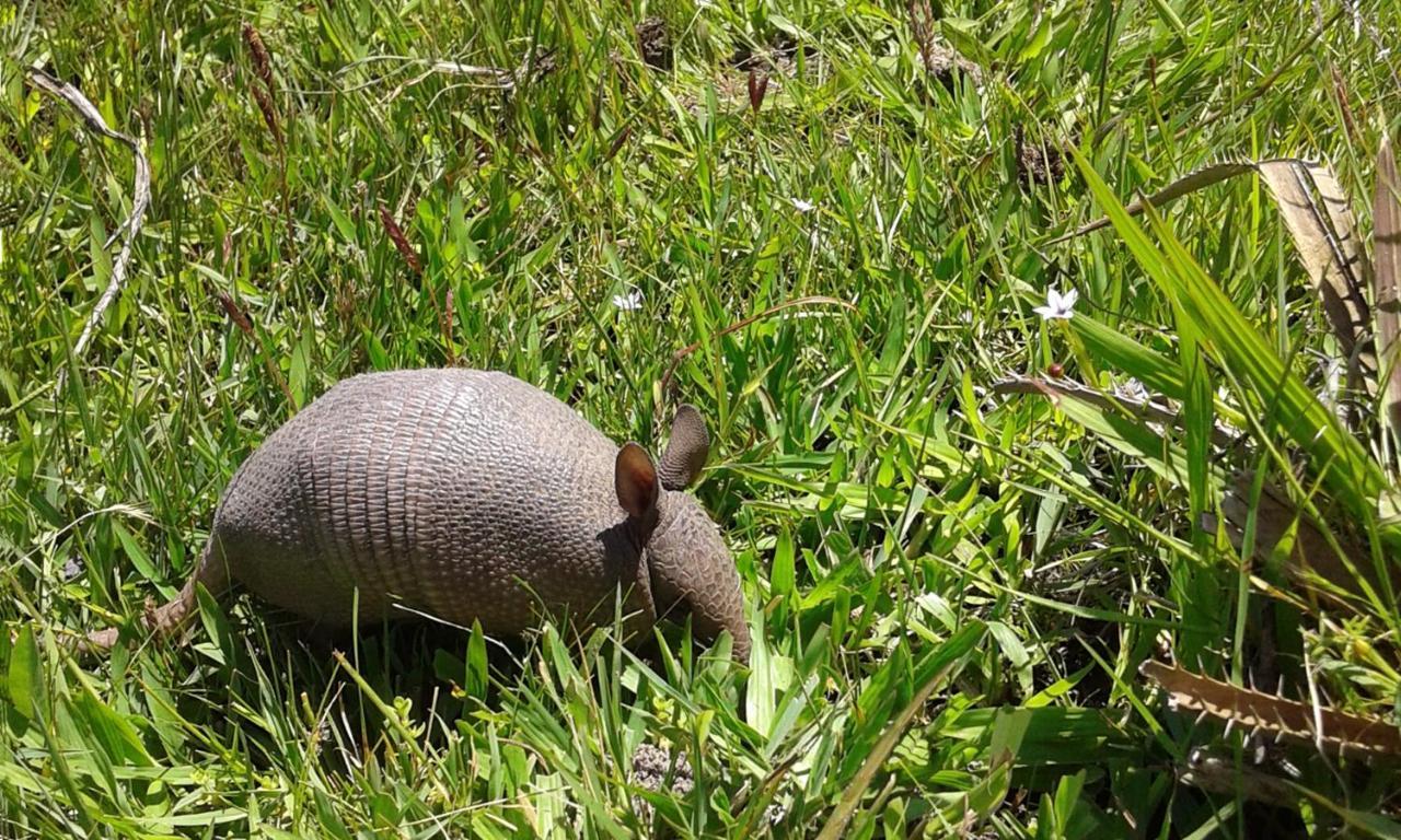 Los Chaja Ecolodge Barra de Valizas Eksteriør bilde