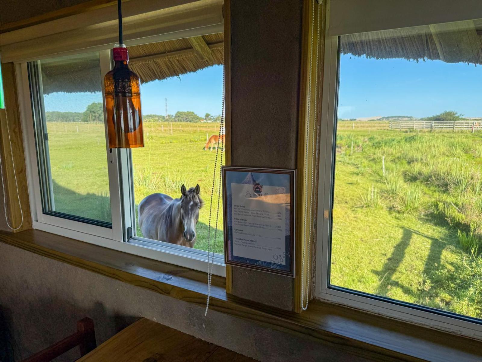Los Chaja Ecolodge Barra de Valizas Eksteriør bilde