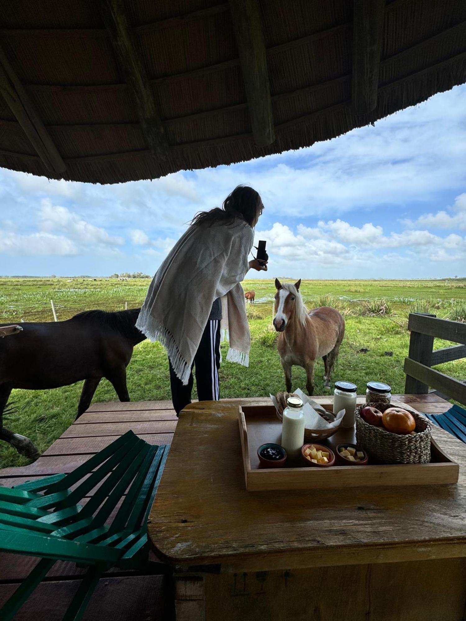 Los Chaja Ecolodge Barra de Valizas Eksteriør bilde